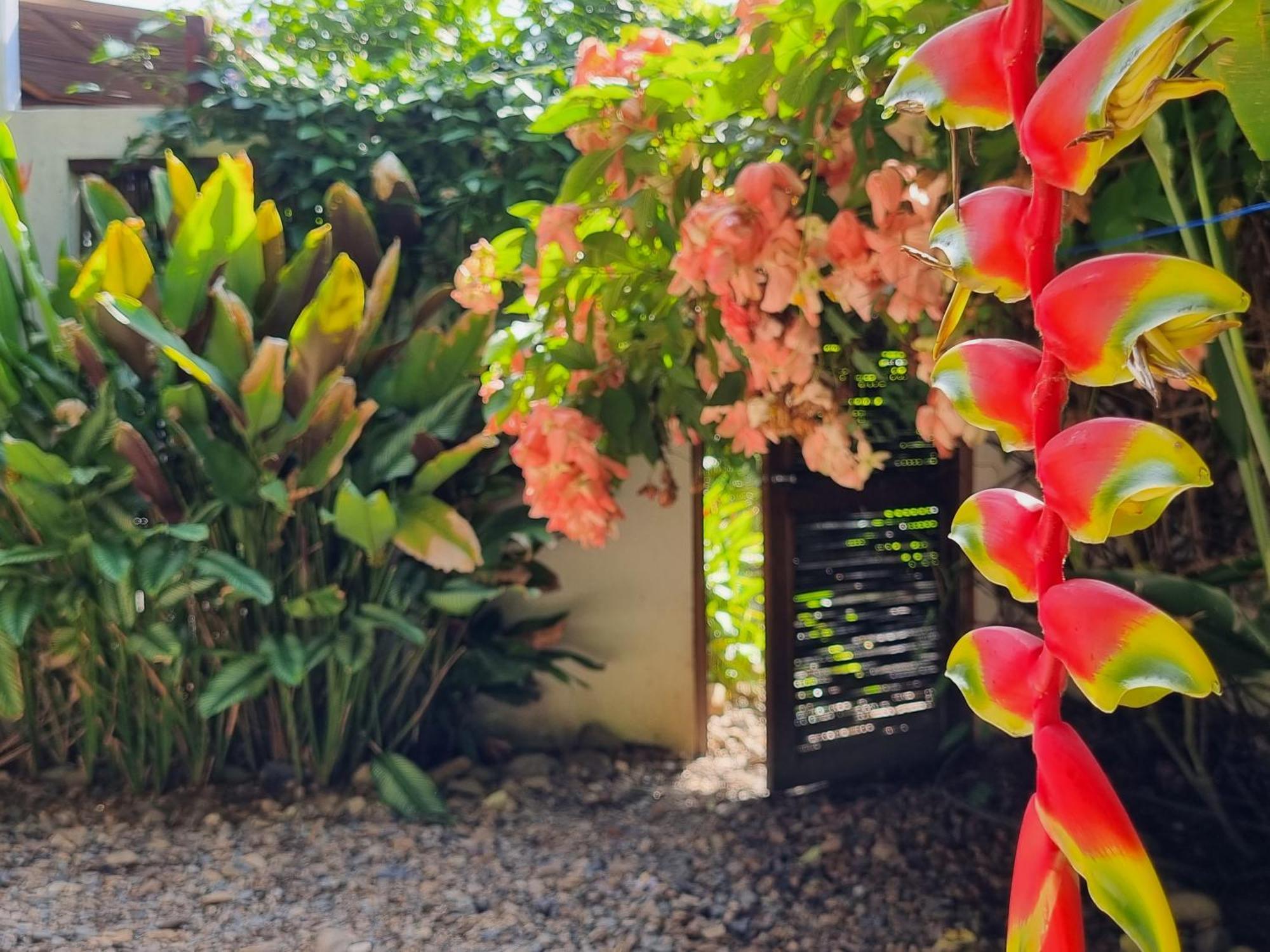 La Floristería Palomino Exterior foto